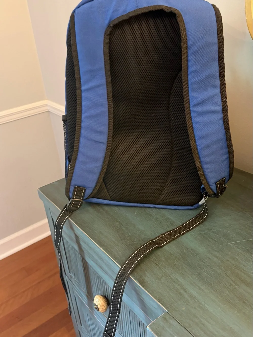 SCOUT pink and blue backpack. Lots of compartments.